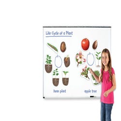 Image for Learning Resources Giant Magnetic Plant Lifecycle from School Specialty