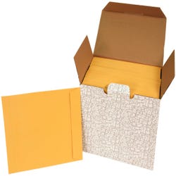 Image for School Smart No Clasp Envelopes with Gummed Flap, 9 x 12 Inches, Kraft Brown, Pack of 250 from School Specialty