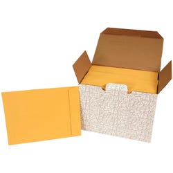 Image for School Smart No Clasp Envelopes with Gummed Flap, 9 x 12 Inches, Kraft Brown, Pack of 250 from School Specialty