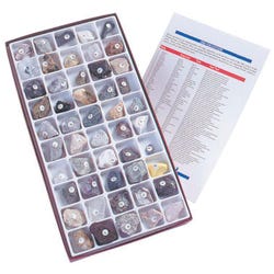 Image for Scott Resources USA Rock and Mineral Collection, Set of 50 from School Specialty