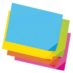 Image for Pacon Light-Weight Tagboard, 12 x 18 Inches, Assorted Bright Colors, Pack of 100 from School Specialty