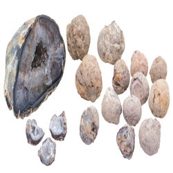 Image for Delta Education DLX Classroom Geode Kit, Grades 5 and 6 from School Specialty