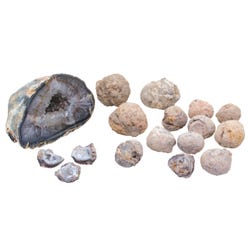 Image for Delta Education DLX Classroom Geode Kit, Grades 5 and 6 from School Specialty