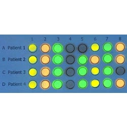 Image for Edvotek DNA/RNA Microarrays from School Specialty