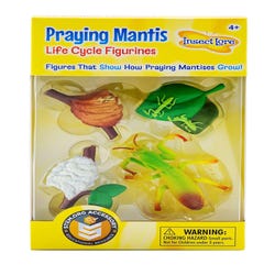 Image for Insect Lore Life Cycle Stages, Praying Mantis, Set of 4 from School Specialty