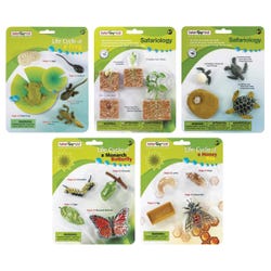 Image for Safari Ltd Complete Set Lifecycle Models - Set of 5 from School Specialty