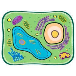 Image for Roylco Cell Model See-Through Plant Cell Builder from School Specialty