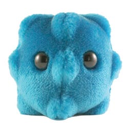 Image for GIANTmicrobes Common Cold (Rhinovirus) Plush, 5 Inches from School Specialty