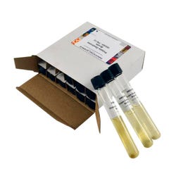 Innovating Science Potato Dextrose Broth Tubes, 12 Pack, Item 2103855