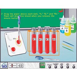 Image for NeoSCI Blood and the Circulatory System Neo/LAB Software Network License CD-ROM from School Specialty