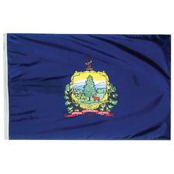 Image for Annin Nylon Vermont Heavy Weight Outdoor State Flag, 3 X 5 ft from School Specialty