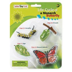 Image for Safariology Models Life Cycle Of A Monarch Butterfly from School Specialty