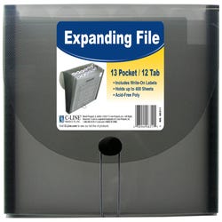 Expanding File Pockets, Item Number 1370414