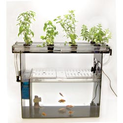 Image for Frey Scientific Classroom Aquaponics Kit from School Specialty