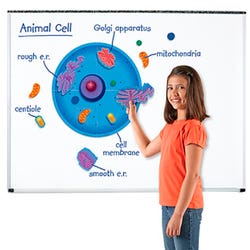 Image for Learning Resources Giant Magnetic Animal Cells, 18 Pieces from School Specialty