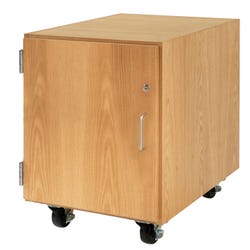 Image for Diversified Woodcrafts M Series Mobile Storage Cabinet, Hinged Left Door, 24 x 22 x 24 Inches from School Specialty