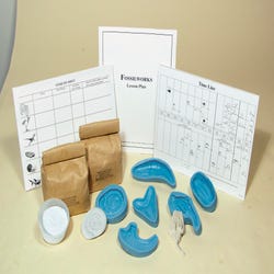 Image for Fossilworks Fossil Exploration Kit from School Specialty