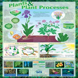 Plant Science, Animal Science, Insect Science, Item Number 35-1156