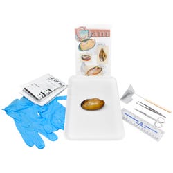 Frey Choice Dissection Kit - Freshwater Clam with Dissection Tools, Item Number 2041247