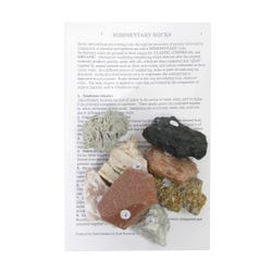 Image for Geoscience Sedimentary Rock Set, Set of 8 from School Specialty