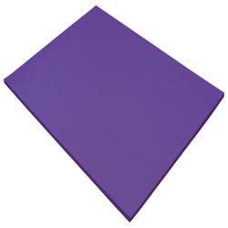 Image for Tru-Ray Sulphite Construction Paper, 18 x 24 Inches, Purple, 50 Sheets from School Specialty