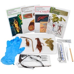 Image for Frey Choice Dissection Kit - Animal Anatomy with Dissection Tools from School Specialty