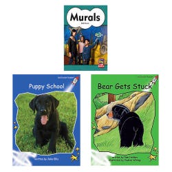 Image for Achieve It! Multipublisher Guided Reading Level G : Variety Pack, Grade 1, Set of 16 Titles from School Specialty