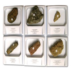 Rocks, Minerals, Fossils Supplies, Item Number 060-5758