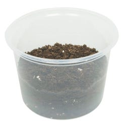 Image for Delta Education Potting Soil, 4 Liters from School Specialty