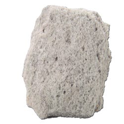 Image for Geoscience White-Tan Pumice, Most Float, Hand Sample from School Specialty