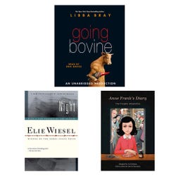 Image for Achieve It! Book Collection, Modern Interpretation On Classics, Grade 10, Set of 6 from School Specialty
