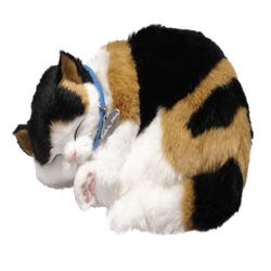 Image for Perfect Petzzz Calico Cat from School Specialty