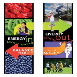 Image for Visualz Energy In/Energy Out Posters, Set of 2 from School Specialty