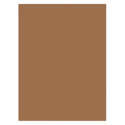 Image for Prang Medium Weight Construction Paper, 9 x 12 Inches, Light Brown, 100 Sheets from School Specialty