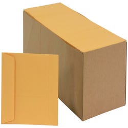 School Smart Coin Envelopes, 28 lb, 3-1/8 x 5-1/2 Inches, Kraft, Brown, Pack of 500 Item Number 2013906