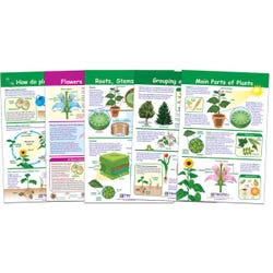 Image for NewPath Learning Bulletin Board Set of 5, All About Plants, Grades 3-5 from School Specialty