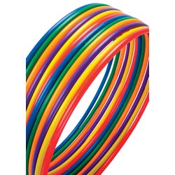 Image for FlagHouse Plastic Hoops, 30 Inch, Set of 12 from School Specialty