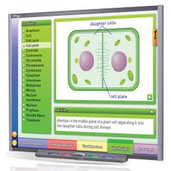 Image for NewPath Learning IWB Multimedia Lesson - Mitosis: Cell Growth and Division Site License CD from School Specialty