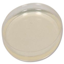 Image for Frey Scientific Prepared Plated Nutrient Agar - Pack of 100 from School Specialty