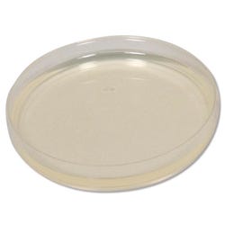 Image for Frey Scientific Prepared Plated Nutrient Agar - Pack of 100 from School Specialty