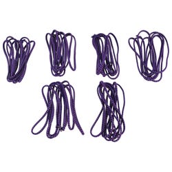 Image for Melaimee 8 feet Chinese Small Jump Rope Loops, Set of 6, Purple from School Specialty