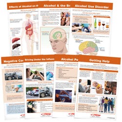Image for Sportime Alcohol Abuse and Addiction Bulletin Board Charts, Set of 7, Grades 5 to 12 from School Specialty