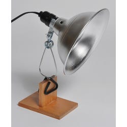 Image for General Purpose Lamp from School Specialty