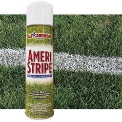 Image for Athletic Specialties Can of Athletic Paint, 20-Ounce, White, Pack of 12 from School Specialty