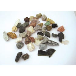 Image for Scott Resources Washington School Student Collection, Rocks and Minerals, Set of 40 from School Specialty