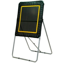 Image for Champion Pro Bounce Target from School Specialty