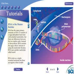 NeoSCI Genetics Neo/LAB Software Network License CD-ROM Set, Set of 4 10-1675