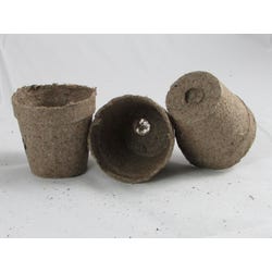 Image for Delta Education Peat Pots, 2-1/4 Inches, Pack of 60 from School Specialty