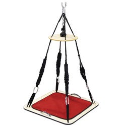 Image for TheraGym Multi-Purpose Platform Swing from School Specialty