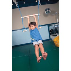 Image for Abilitations Monkey Bar Swing from School Specialty